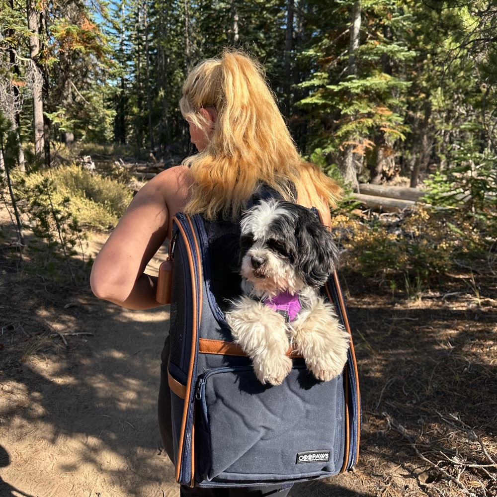 Meet your Posher, Mia